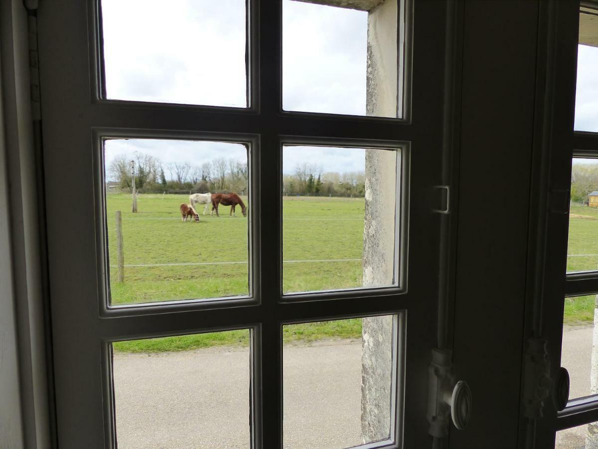 La commanderie aux portes de Chambord Huisseau-sur-Cosson Extérieur photo